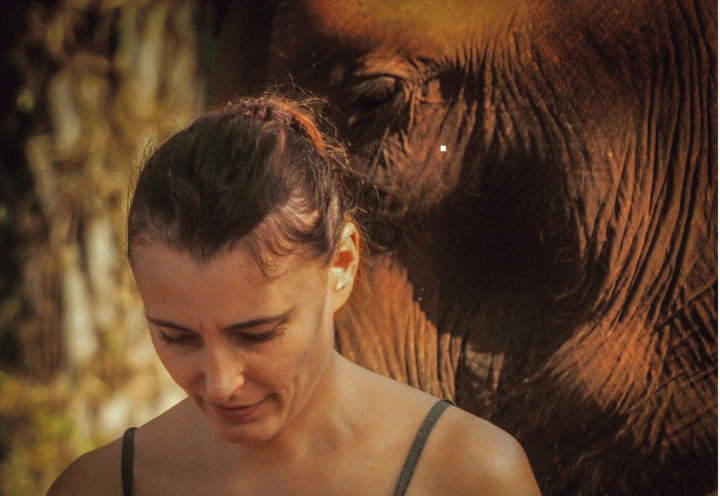 An elephant's face is visible behind a pretty woman during to practicing yoga