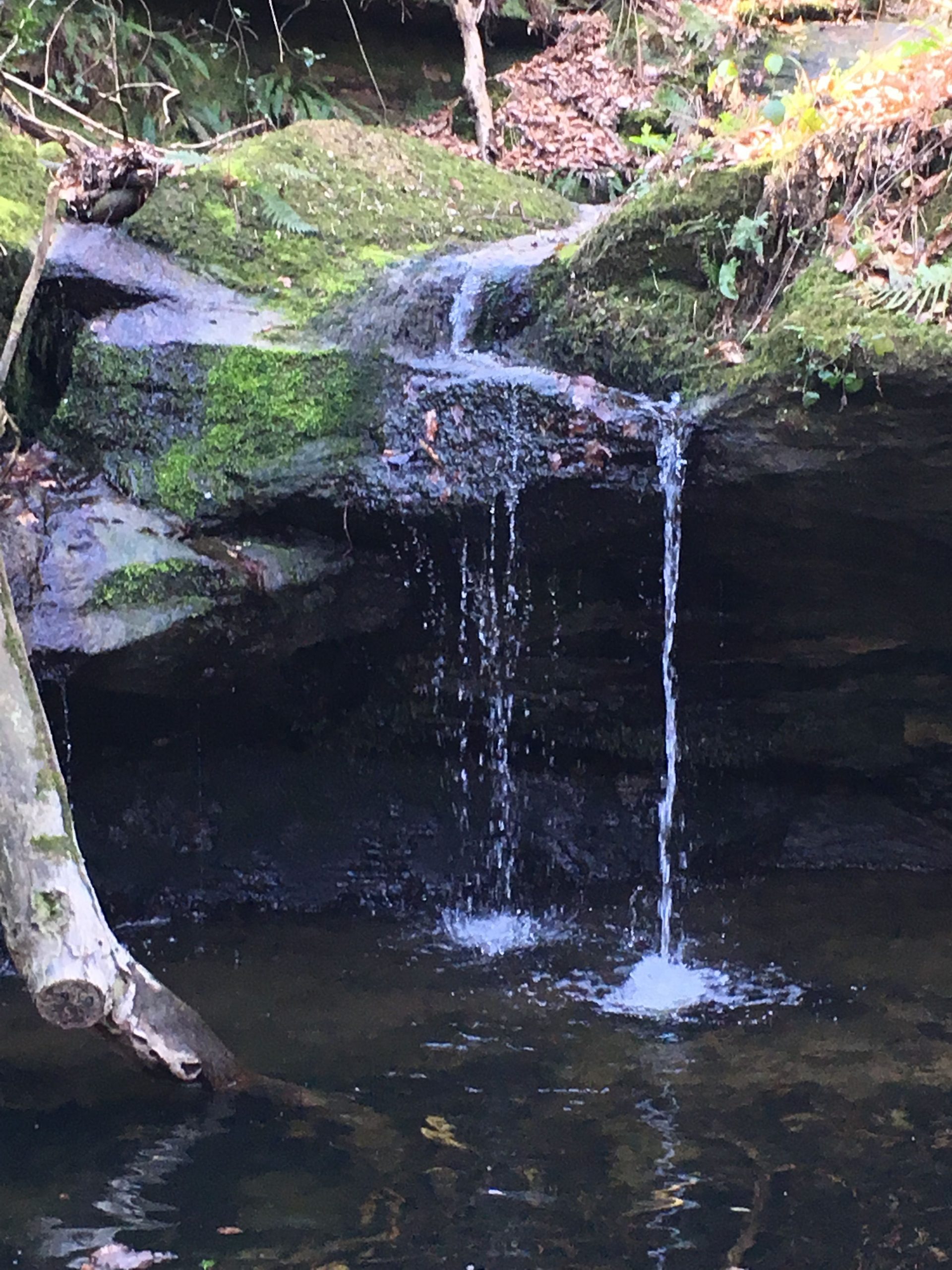 The falling water in the stream captures the beauty and power of nature in all its glory.